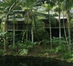 Daintree Eco Lodge & Spa, Daintree Rainforest